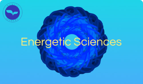 Pratique de Sciences Énergétiques - Module 1 & 2 - avec Rémy Migan - 26-28 octobre - Bénin