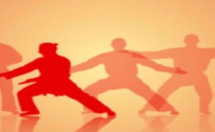 Kin-jo-do Roue du Physique Module #1-2026 avec Lise